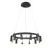 Подвесной светильник Vele Luce Negro VL7102P12