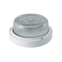 Настенно-потолочный светильник TDM Electric НПП 03-100-003 SQ0311-0019