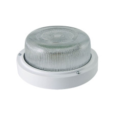 Настенно-потолочный светильник TDM Electric НПП 03-100-003 SQ0311-0019