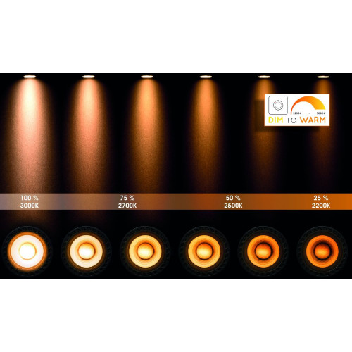 Спот Lucide Tala Led 31931/24/30