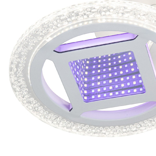 Потолочная люстра Escada Mira 10214/2LED Потолочная люстра Escada Mira 10214/2LED
