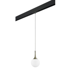 Трековый светильник Lightstar Globo PRO813011 (813011+595007)