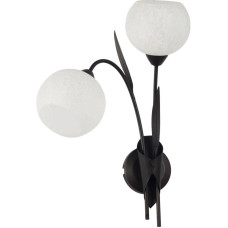 Бра Lussole Bagheria LSF-6291-02