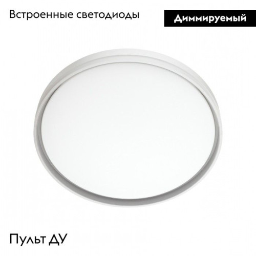 Настенно-потолочный светильник Sonex Savi 7631/DL