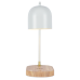 Настольная лампа Zortes DeskLight ZRS.1066.02