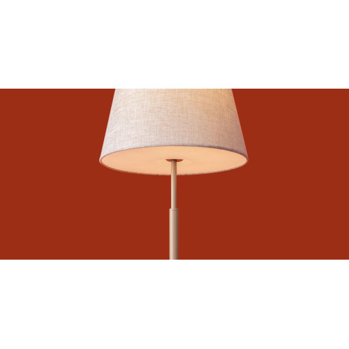 Настольная лампа Freya Butler FR2057TL-01BG