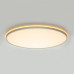 Потолочный светильник Citilux Norma LED RGB CL749600