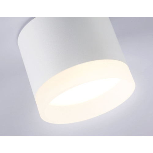 Накладной светильник Ambrella Light Acrylic Frost TN5365