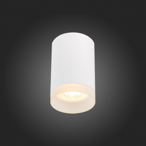 Накладной светильник ST Luce ST100 ST100.502.01