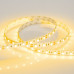 Светодиодная лента Arlight Rt-b60-10mm 5060 012342(2)