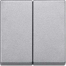 Клавиша двойная Schneider Electric Merten System M MTN433560