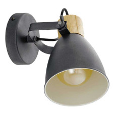 Спот Eglo Coswarth 901174