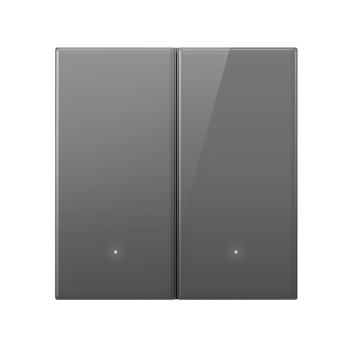 Выключатель Yeelight Pro, серия S21, проводной, 2 клавиши, серый (N L)