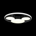 Потолочный светильник Loft IT Mike 10166