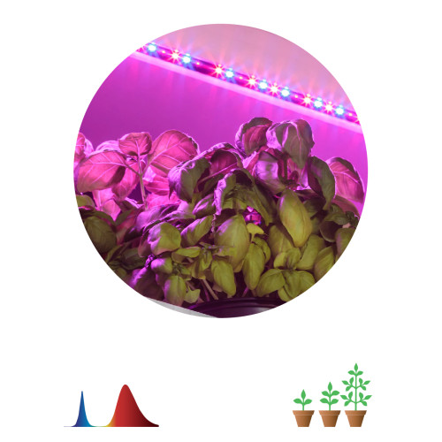 Светодиодная лента для растений Эра 18Вт 1400K 2м IP65 FITO-Strip Light-RB-2m красно-синего спектра Б0057282