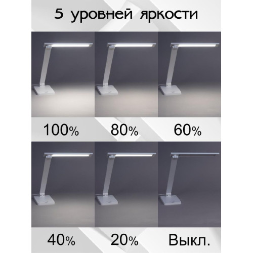 Настольная лампа Citilux Ньютон CL803080