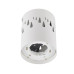 Накладной светильник Fametto DLC-S618 GX53 WHITE UL-00009788