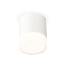 Потолочный светильник Ambrella Light Techno Spot XS7401043 (C7401, N7160)