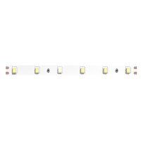 Светодиодная лента Arte Lamp Tape 24В 4,8Вт/м 6000K 5м IP20 A2406008-03-6K