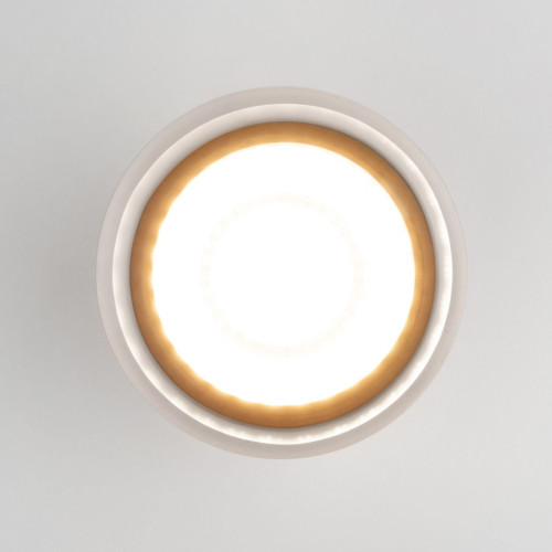 Уличный потолочный светильник Elektrostandard Light LED 4690389177941