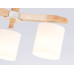 Люстра на штанге Ambrella Light Loft TR83112