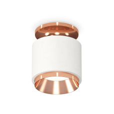 Потолочный светильник Ambrella Light Techno Spot XS7510140 (N7930, C7510, N7035)