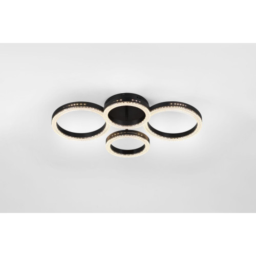 Потолочный светильник Rivoli Flora 6191-201