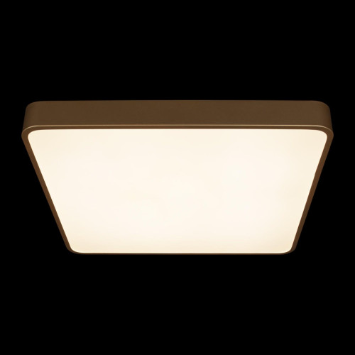 Потолочный светильник Loft IT Flims 10228/D