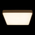 Потолочный светильник Loft IT Flims 10228/D