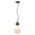 Подвесной светильник Odeon Light Elica 5418/1