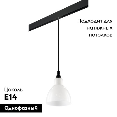 Трековый светильник Lightstar Loft PRO865017 (865017+595007)