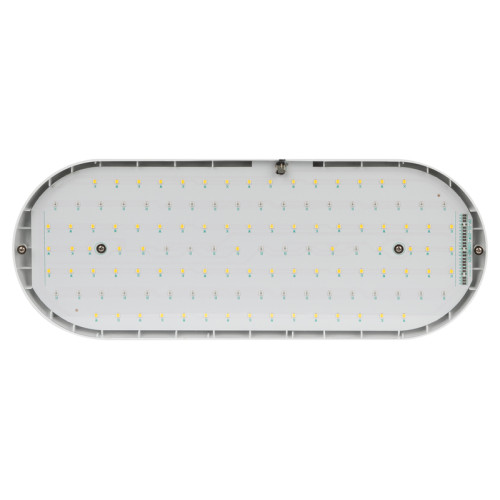 Подвесной светильник для растений Эра FITO-25W-QLED-FLY Б0053062