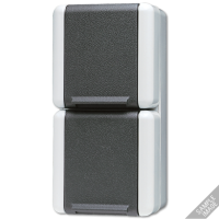 Розетка Schuko двухместная Jung 8220W