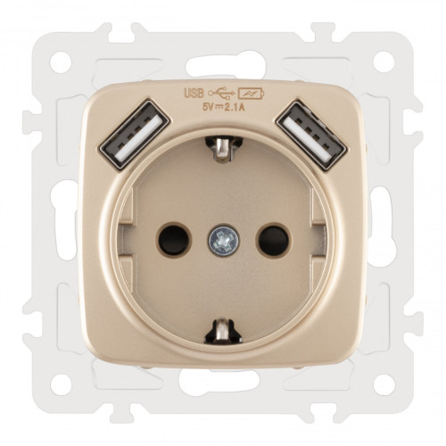 Розетка с заземлением, шторками + 2 USB Arte Milano 205.47-1.shampan