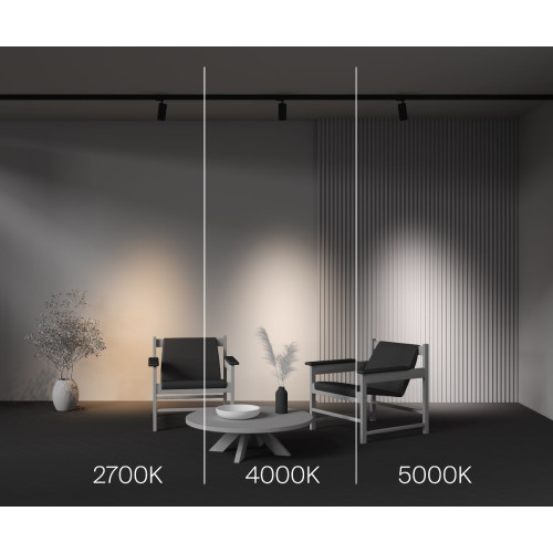 Трековый трехфазный светильник Maytoni Focus Led TR197-3-20WCCT-M-B