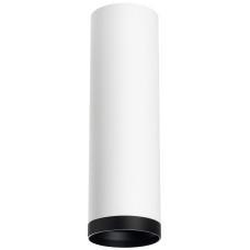 Накладной светильник Lightstar Rullo R64963487 (216496+203487)