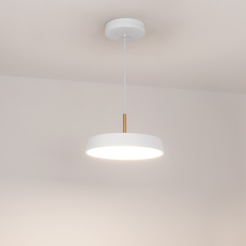 Подвесной светильник Arlight SP-Elegant-R300-17W Day4000 033919