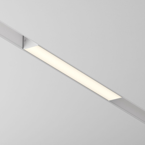 Трековый светильник Maytoni Technical Basis TR074-2-12W3K-W