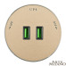 Трековая розетка Arte Milano Am-track-sockets 380011TS/USBx2 Gold