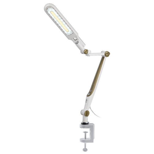 Настольная лампа Эра NLED-496-12W-G Б0052769