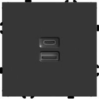 Розетка 2-местная USB + Type C Stekker RST10-5115-05 Эмили 49853