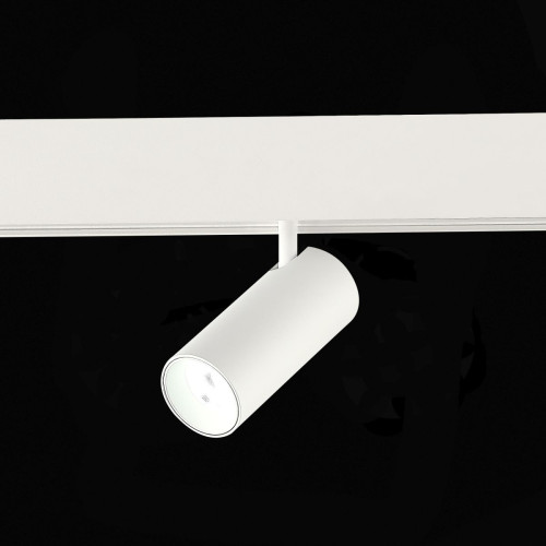 Трековый магнитный светильник ST Luce Skyline 48 ST375.506.07ZGB