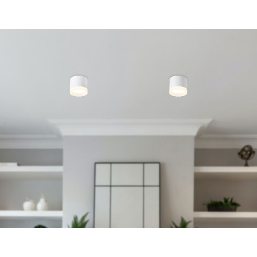 Накладной светильник Ambrella Light Acrylic Frost TN5365