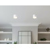 Накладной светильник Ambrella Light Acrylic Frost TN5365