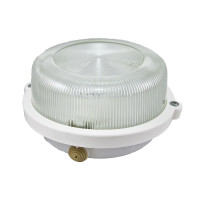 Настенно-потолочный светильник TDM Electric НПП 03-100-005.03 SQ0311-0003