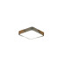 Потолочный светильник Zortes Alberro ZRS.01285.60
