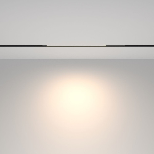 Трековый магнитный светильник Maytoni Technical Basis TR231-2-10W4K-B