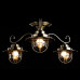 Потолочная люстра Arte Lamp 6 A4579PL-3AB