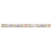 Светодиодная лента Эра 12В 2835 4,8Вт/м 3000K 5м IP65 LS2835-60LED-IP65-WW-eco-5m Б0035592