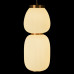 Подвесной светильник Loft IT Duff 10422/A